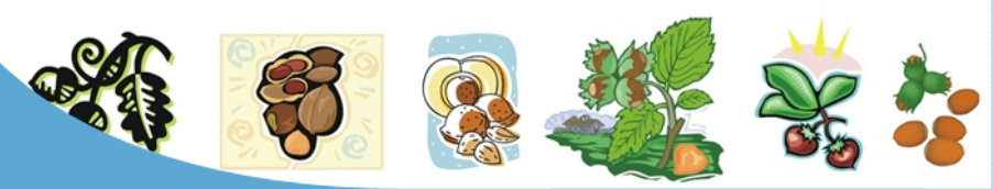 SEKAMER'in, ceviz  ile ilgili tüm faaliyetleri KSÜ Ziraat Fakültesi Dekanlığı'na devredilmiştir. Ceviz ile ilgili tüm taleplerin ilgili dekanlığa yapılması gerekmektedir.